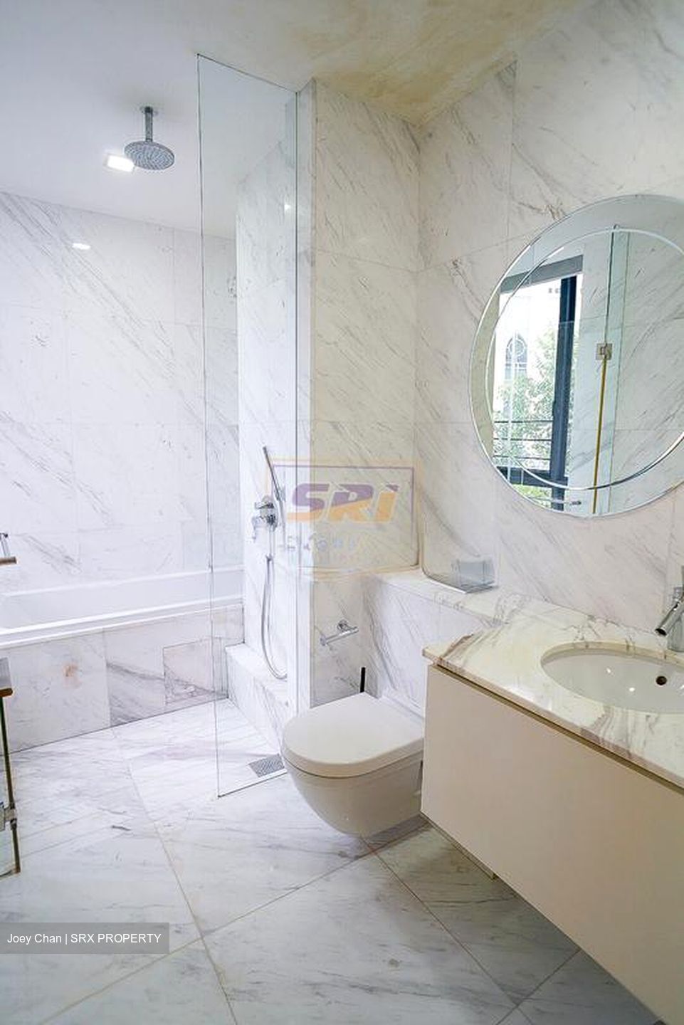 Viva (D11), Condominium #499413541